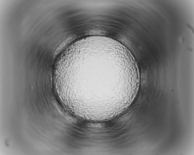 X0000102250349200808151822