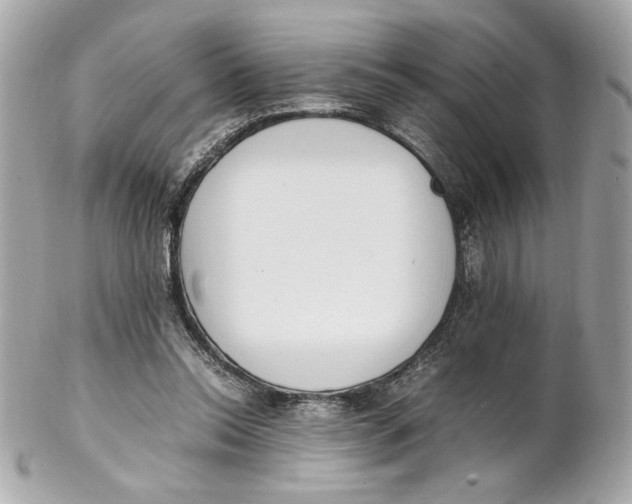 X0000102250350200808151822