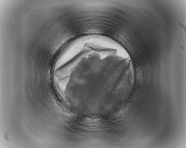 X0000102250351200808151822