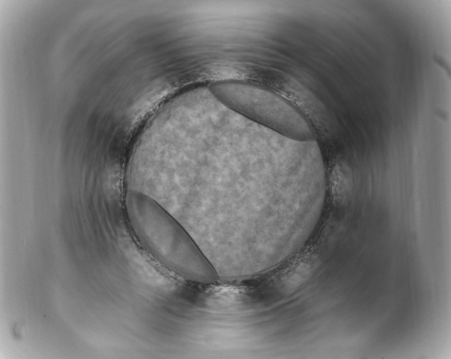 X0000102250352200808151822