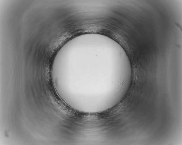 X0000102250354200808151822