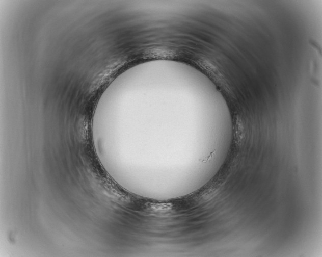 X0000102250355200808151822