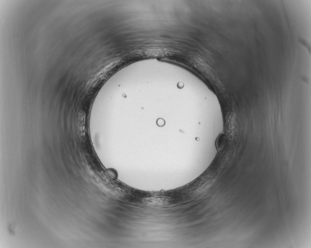 X0000102250356200808151822