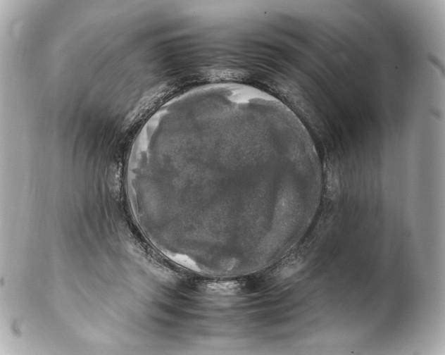 X0000102250357200808151822