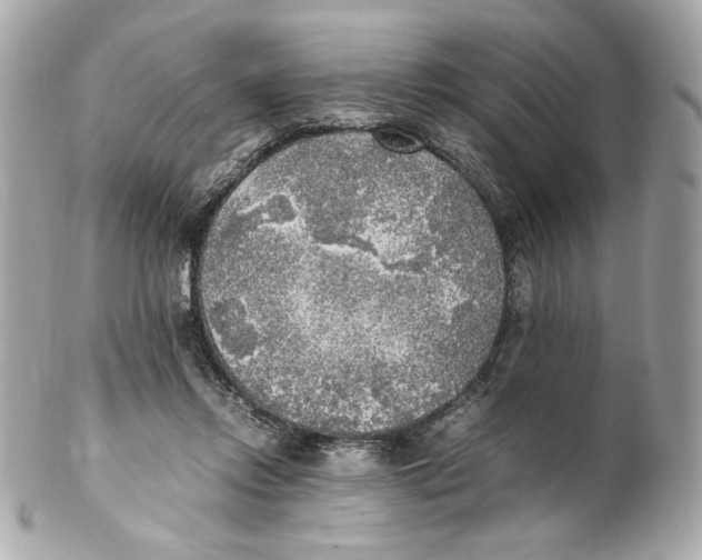 X0000102250358200808151822