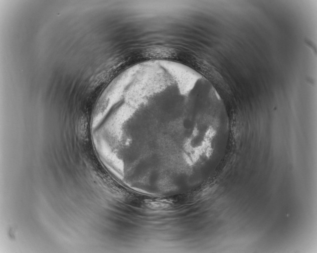 X0000102250359200808151822