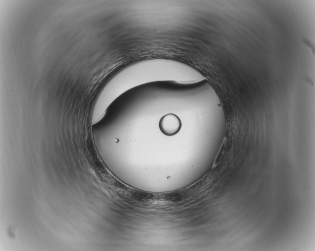 X0000102250360200808151822