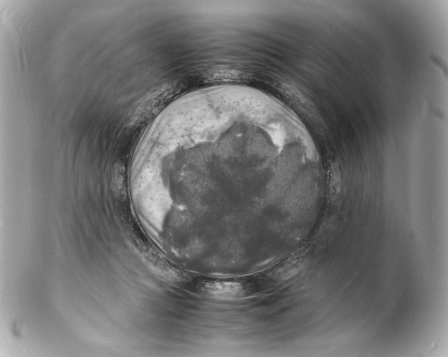 X0000102250361200808151822