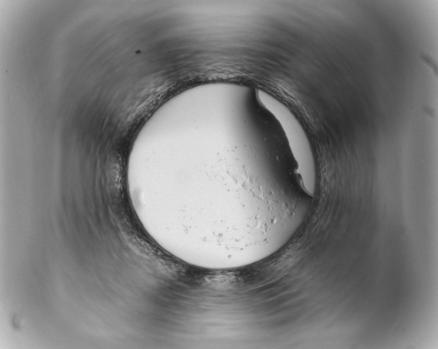 X0000102250362200808151822