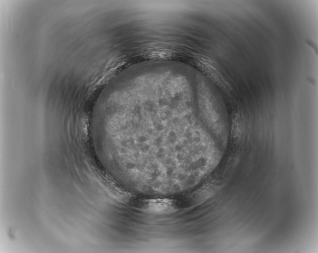 X0000102250363200808151822