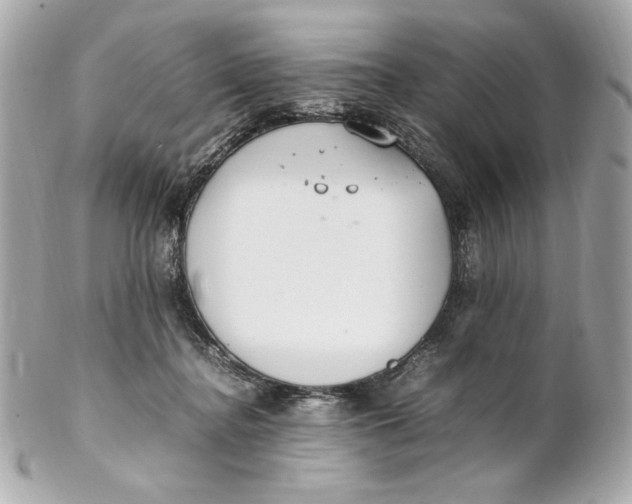 X0000102250364200808151822