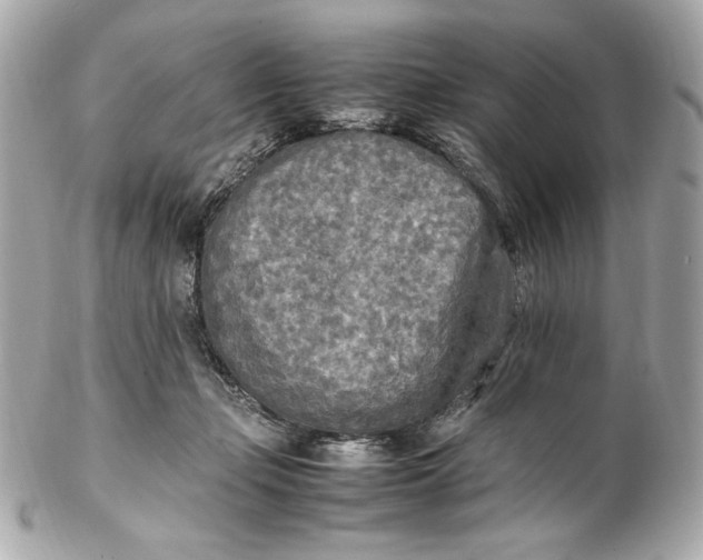 X0000102250365200808151822