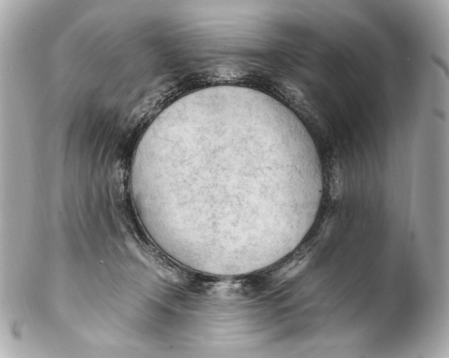 X0000102250366200808151822