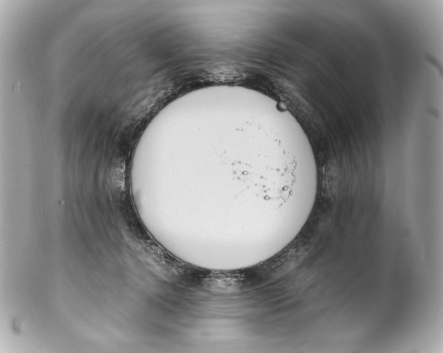 X0000102250368200808151822