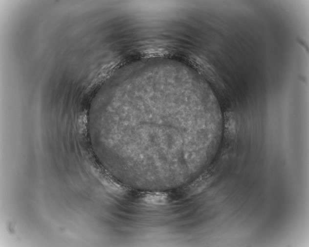 X0000102250369200808151822