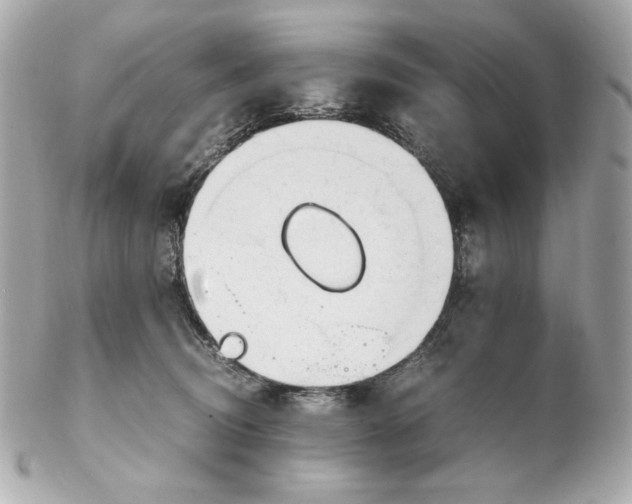 X0000102250370200808151822