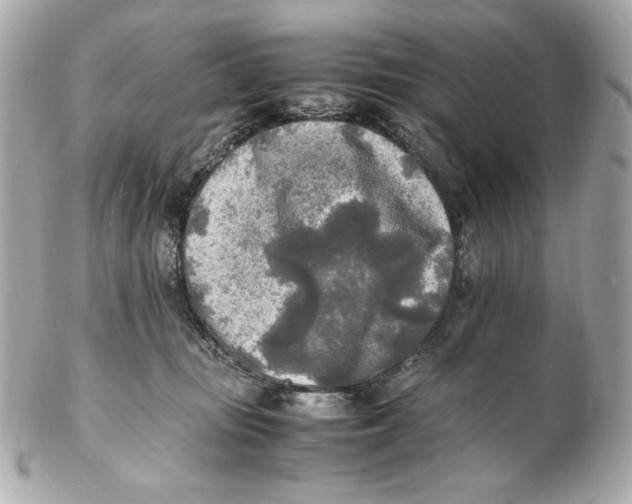 X0000102250371200808151822