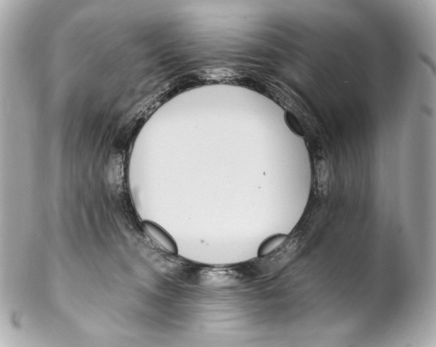 X0000102250372200808151822