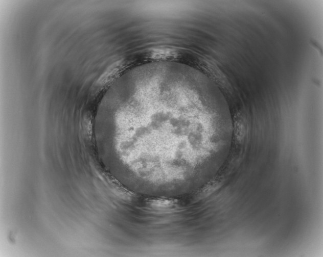 X0000102250375200808151822