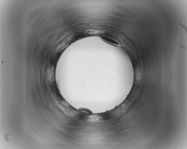 X0000102250376200808151822