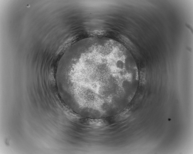 X0000102250377200808151822