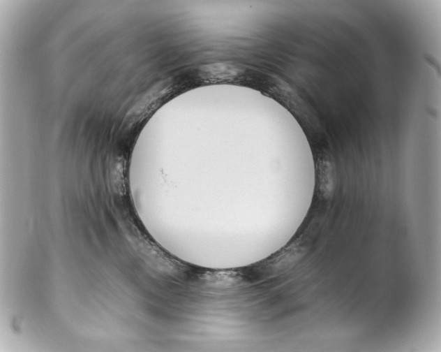 X0000102250378200808151822