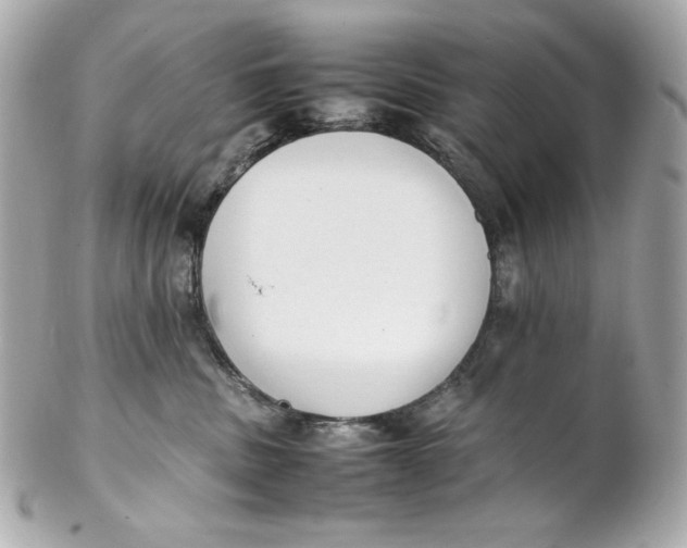 X0000102250379200808151822