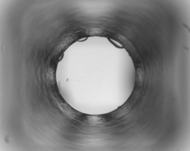 X0000102250380200808151822