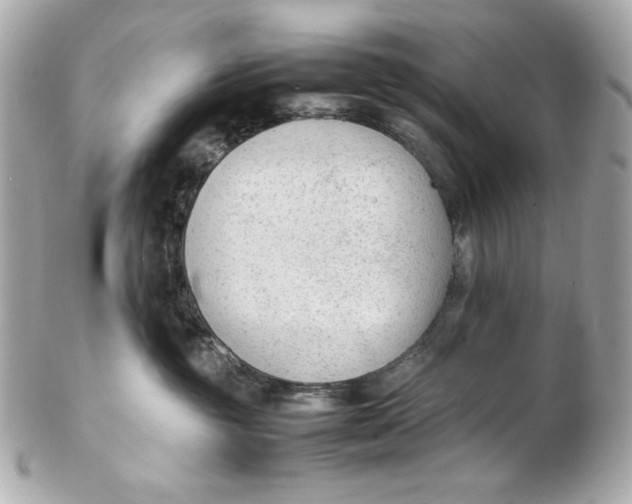 X0000102250381200808151822