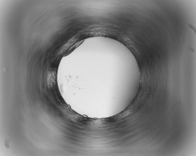 X0000102250382200808151822