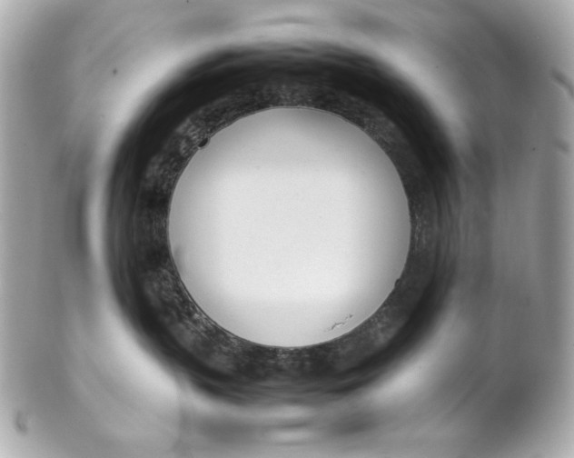 X0000102250383200808151823