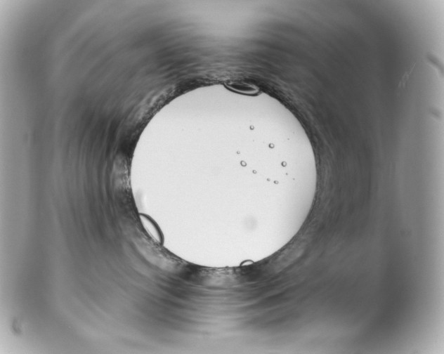 X0000102250384200808151823