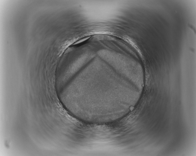 X0000102250385200808151822