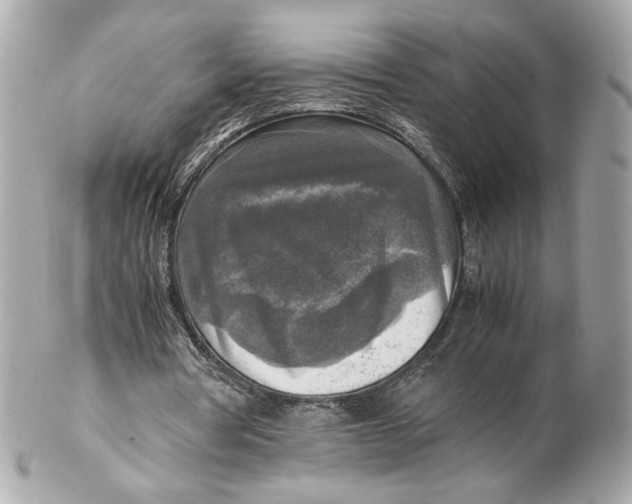 X0000102250386200808151822