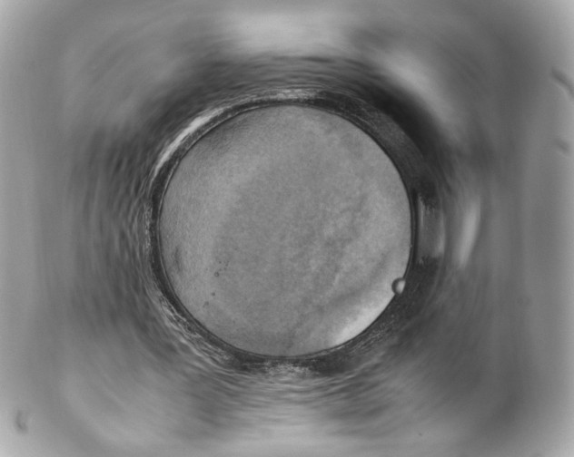 X0000102250387200808151822