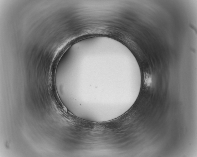 X0000102250388200808151822