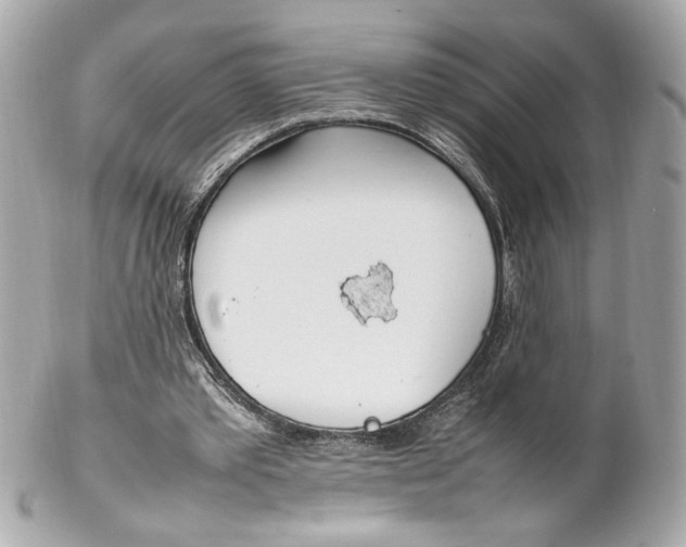 X0000102250389200808151822