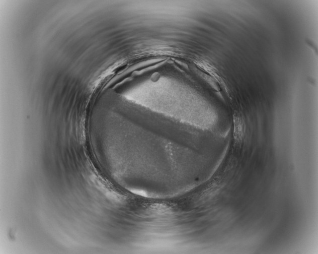 X0000102250390200808151822