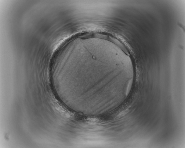 X0000102250391200808151822