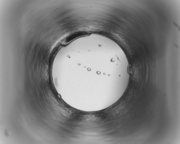 X0000102250392200808151822