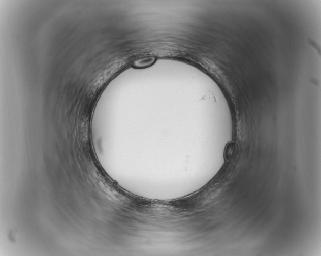 X0000102250393200808151822