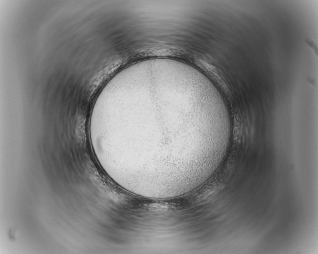 X0000102250394200808151822
