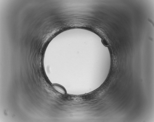 X0000102250395200808151822