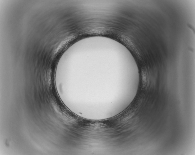 X0000102250396200808151822
