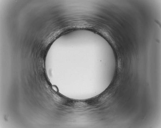 X0000102250397200808151822