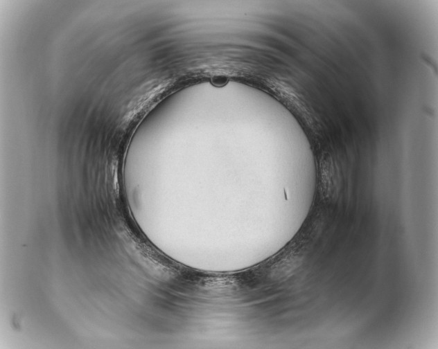 X0000102250398200808151822
