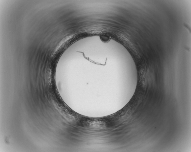 X0000102250400200808151822