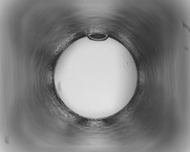 X0000102250401200808151822