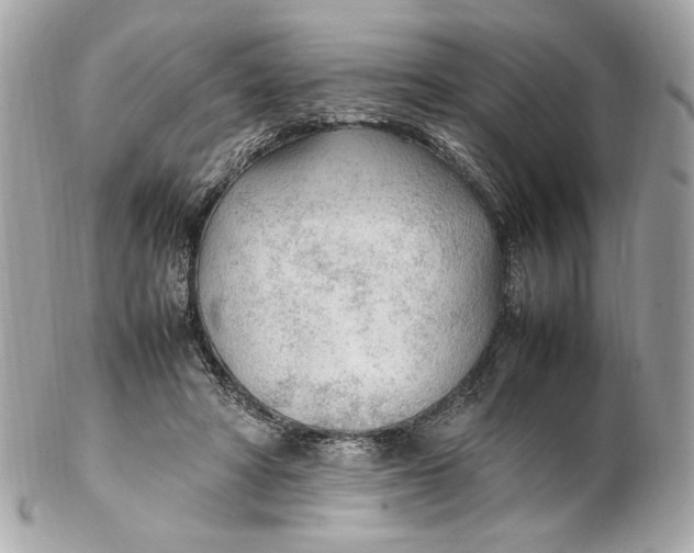 X0000102250402200808151822