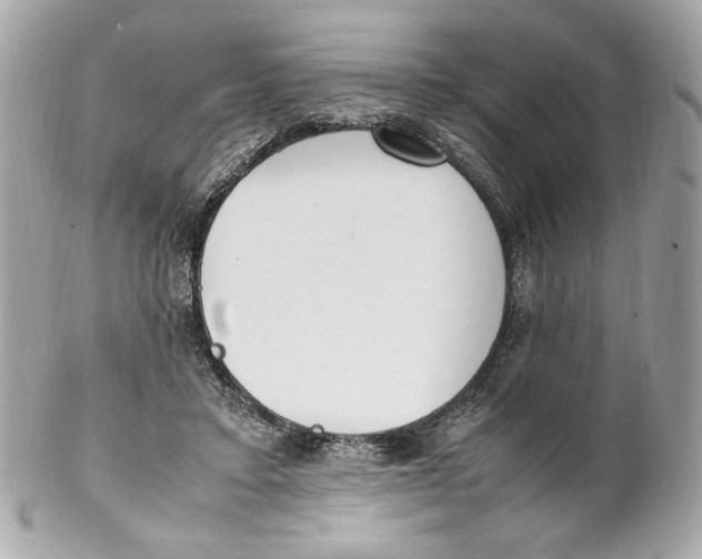 X0000102250403200808151822